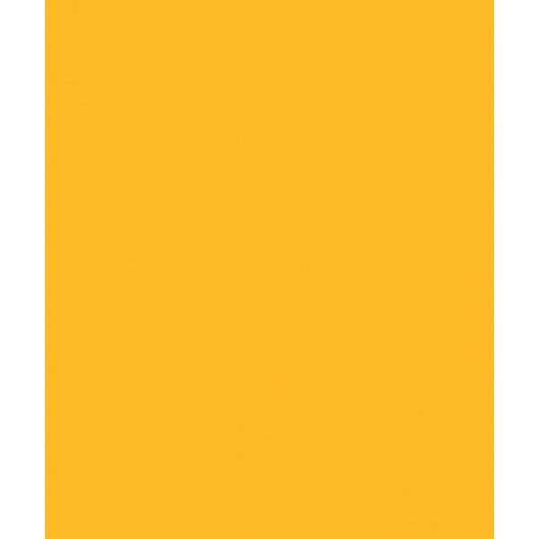 Фон Savage Widetone Deep Yellow 1.36mx 11m